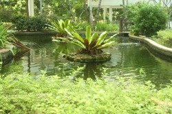 Cote D'Azur (D15), Condominium #210194161